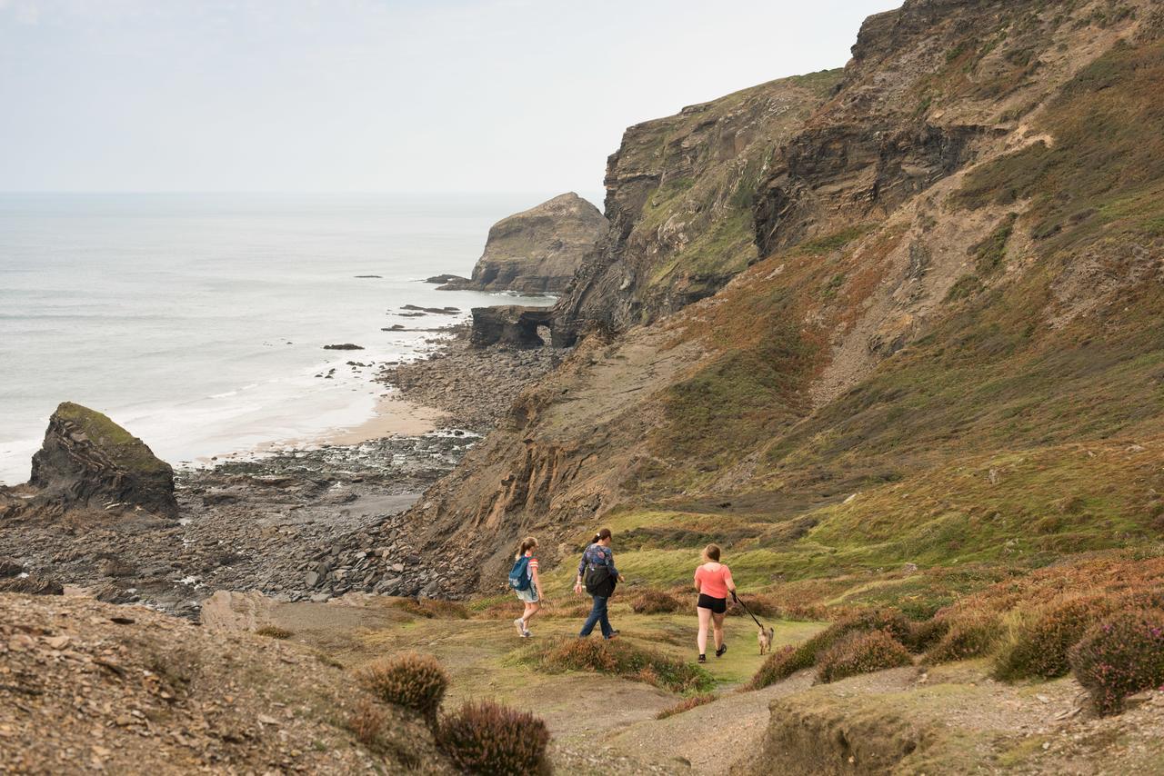 Trevigue Farm Guest House Crackington Haven Екстериор снимка